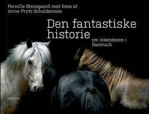 Den fantastiske historie om islænderen i Danmark-Pernille Stensgaard-Bog